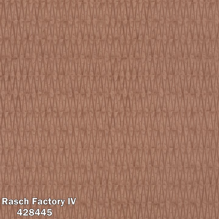 Rasch Factory IV